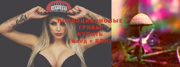 шишки Рославль