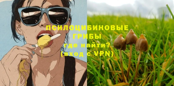 гашик Баксан